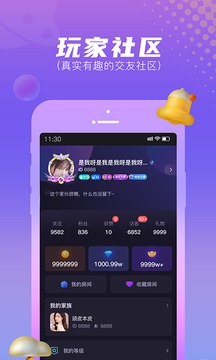 顽皮